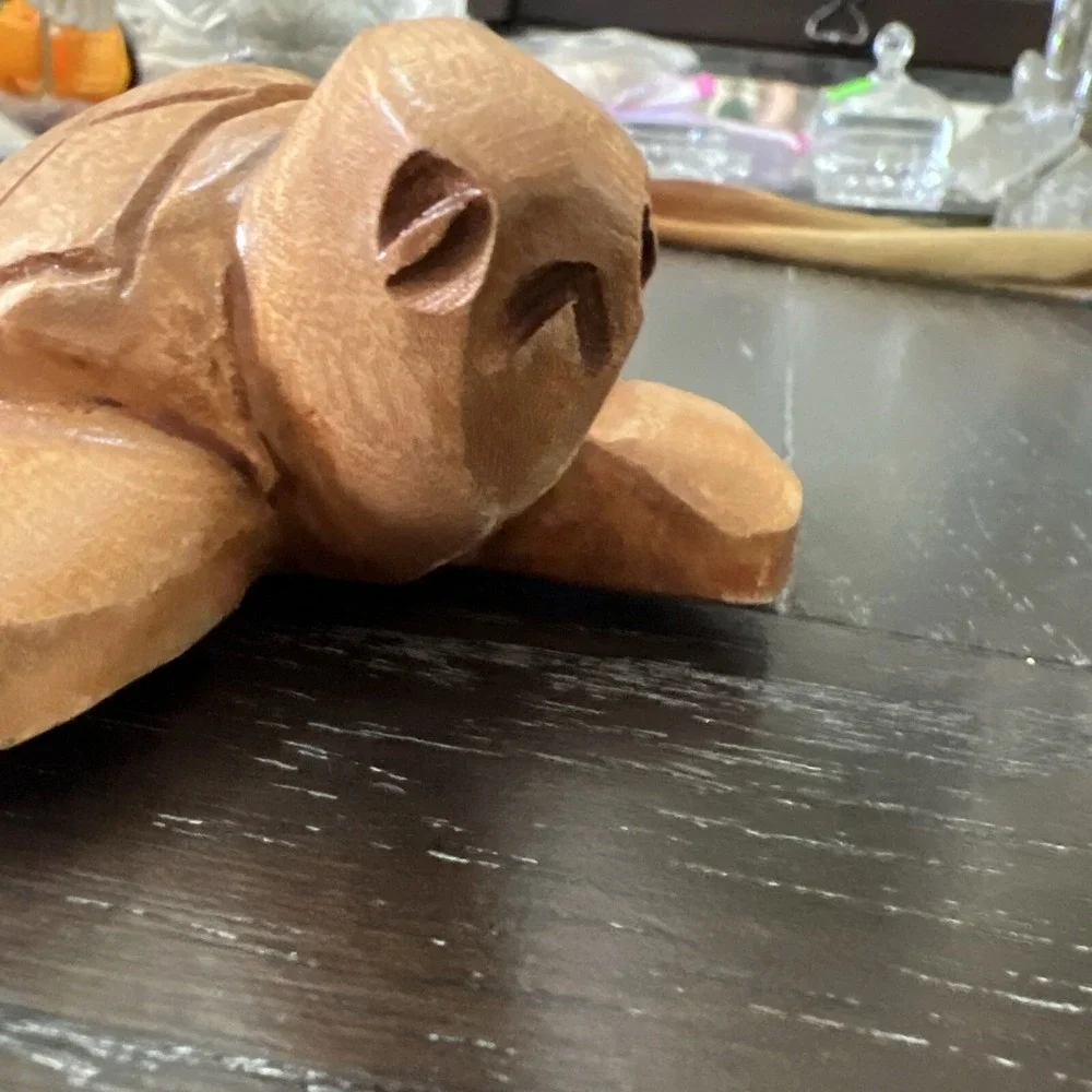 Wood Carved Turtle 5